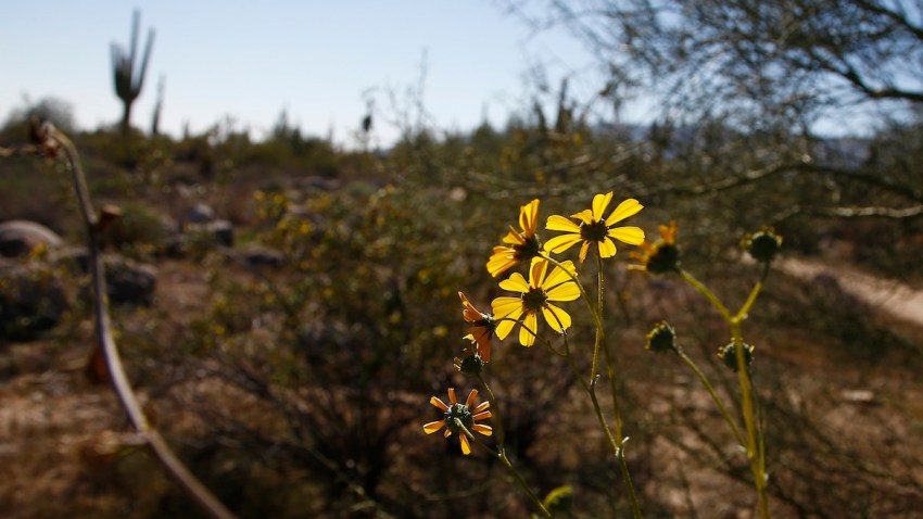 Loop Trail Metro Phoenix