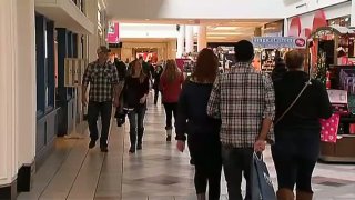 Generic Shoppers at Mall