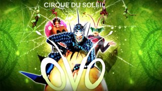 Ovo-Cirque-Du-Soleil