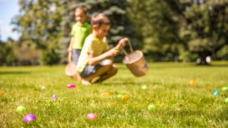 PRINCIPAL-foto-de-easter-pascua