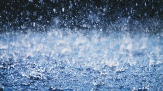 Torrential Rain