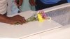 Hombre es arrestado con orden de aprehensión por feminicidio agravado