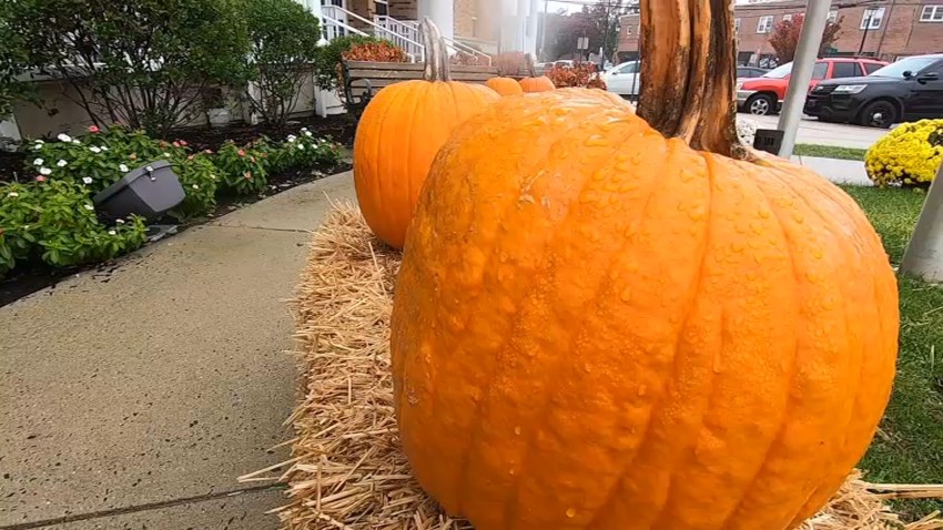 halloween pospuesto