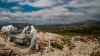 Funerarias en México alistan cementerios para la etapa crítica de la pandemia
