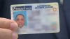 A días de que entre en vigencia, ¿aún no tienes una REAL ID?