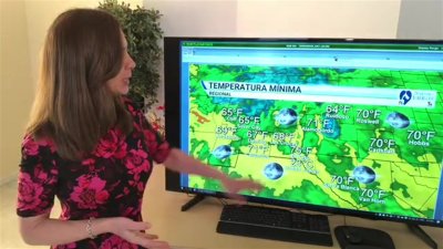 Jueves con temperatura máxima de 100°F