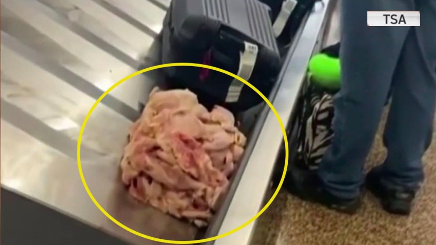 En video: pollo crudo se pasea por la correa del equipaje de un aeropuerto en EEUU
