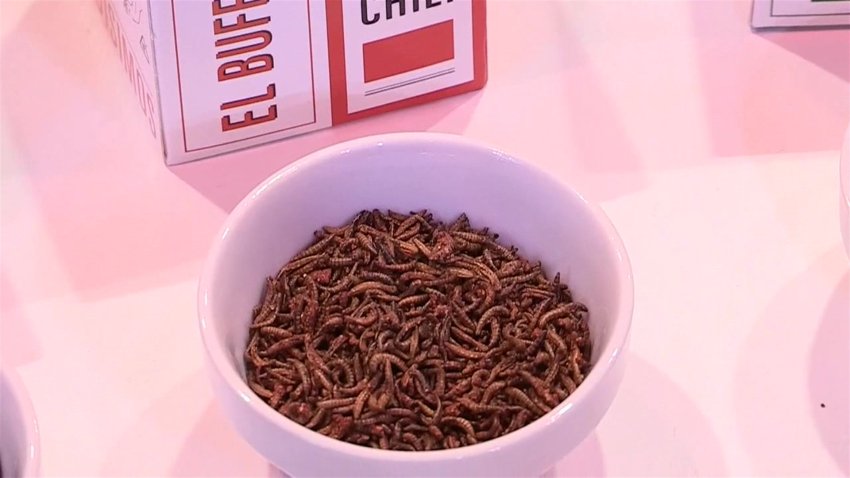 ¿Son los insectos el alimento del futuro? País europeo cree que sí