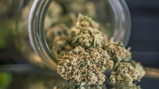 marijuana generic