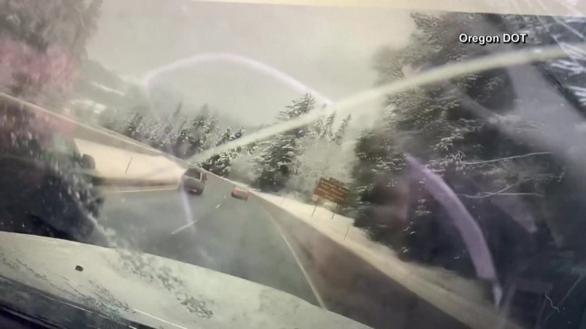 Video capta momento en que cae árbol frente a conductor