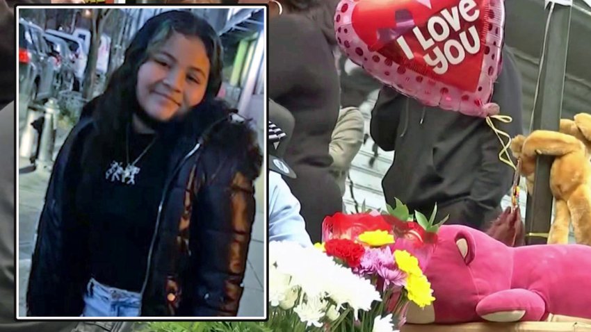 brooklyn girl killed inset