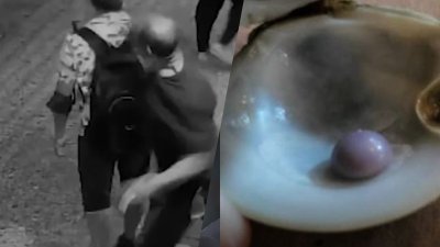 Le fracturó el cráneo sin razón aparente, comensales encuentran perla morada en su platillo de almejas y más en El Break de T48