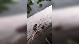 Boxeador salva a un perro durante el azote de Julia