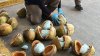 México: decomisan más de 600 libras de fentanilo dentro de cocos que iban a EEUU
