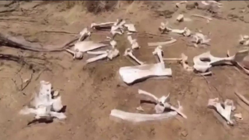 Desierto inclemente: el frío extremo en la frontera estaría generando un aumento de hallazgos de restos de migrantes