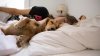 ¿Deberías dormir en la cama con tu mascota? Lo que dice una experta