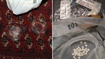 Law enforcement agents with the Department of Homeland Security say they discovered Phenazepam, a highly potent sedative, in cheesecake residue found on the dessert container in the case of a woman who attempted to murder a look-alike with the poison cheesecake.