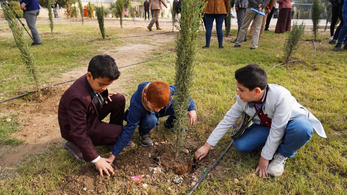 Texas Gas sorteará 50 árboles en El Paso, te decimos cómo conseguir uno