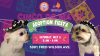 Albergue de mascotas en El Paso organiza la Fiesta de Adopción del Cinco de Mayo