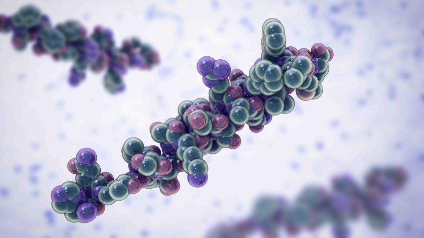 Glucagon molecule, 3D illustration. Glucagon is a peptide hormone, produced by alpha cells of the pancreas raising concentration of glucose in the bloodstream