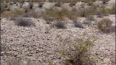 Continúa incendio en el basurero de Las Cruces