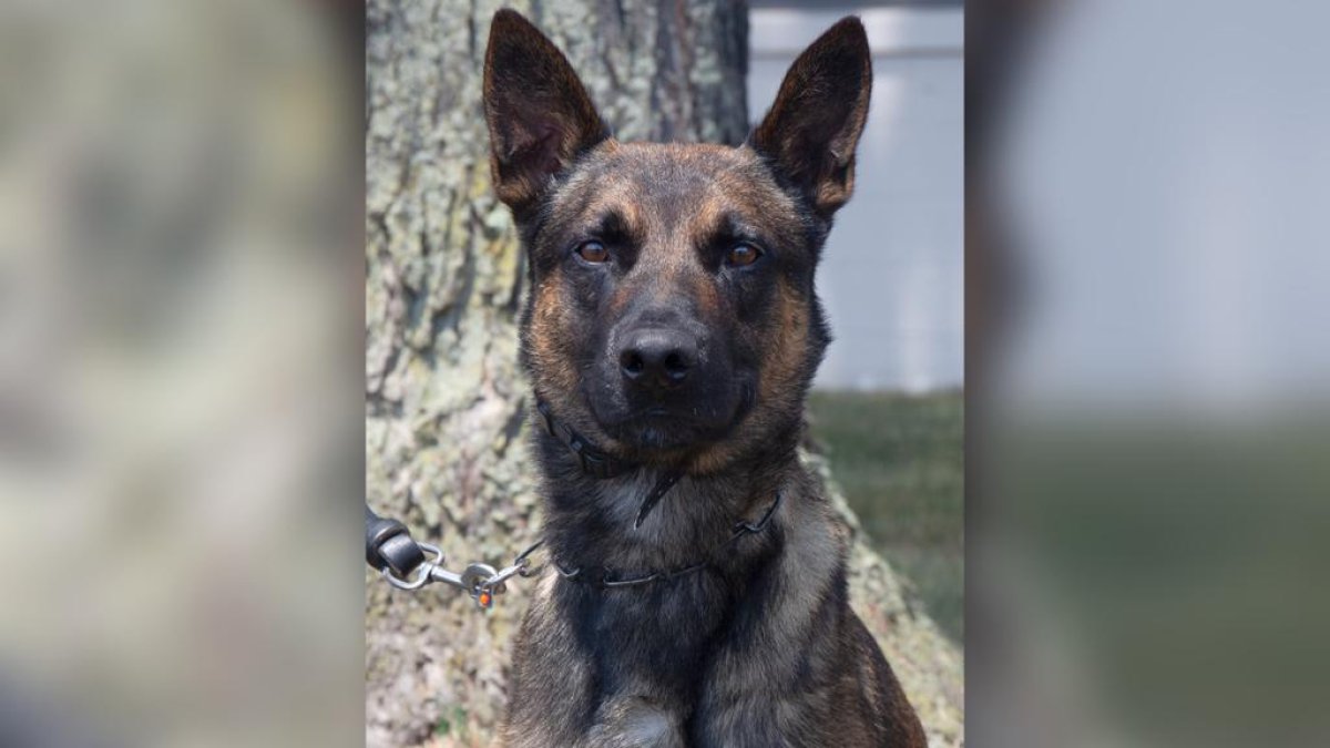 \, image size:1200x675