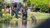 Tragedia familiar: hallan muerto a niño de 3 años en estanque detrás de su hogar