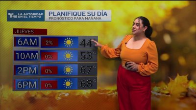 Planifique su día; Condiciones agradables en la frontera