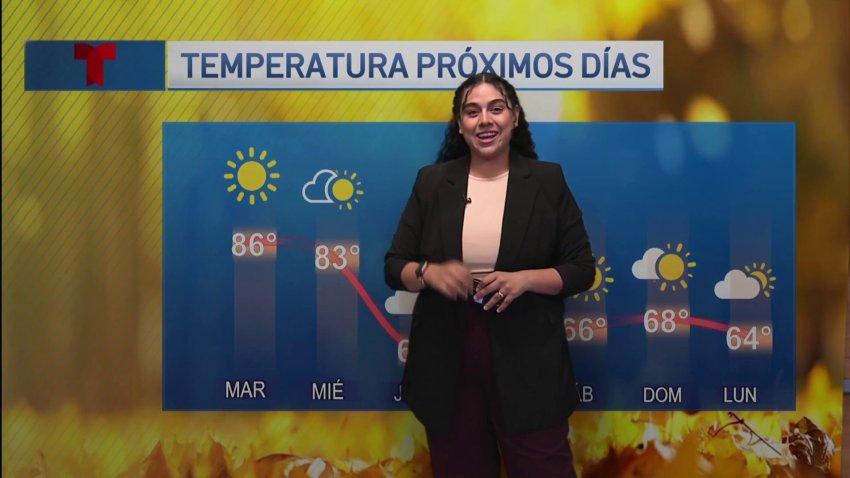 Planifique su semana conmigo