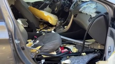 Oso destroza un auto mientras buscaba presuntos chocolates