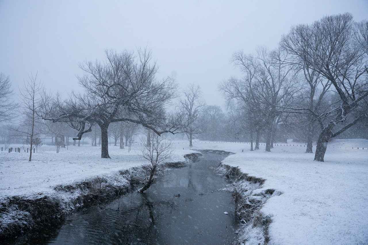 White Rock Lake