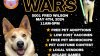 Organizan evento de adopción de mascotas y concurso de disfraces con temática de Star Wars