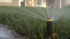 CRRUA prohíbe uso del agua en exteriores hasta el 8 de mayo