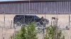 En video: agentes de la Guardia Militar de Texas disparan balas de goma a migrantes