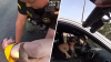 Video: cámara corporal muestra arresto de pareja acusada de robar en Best Buy