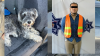 Lo arrestan por dejar a perrito encerrado en vehículo sin ventilaciónn en Juárez
