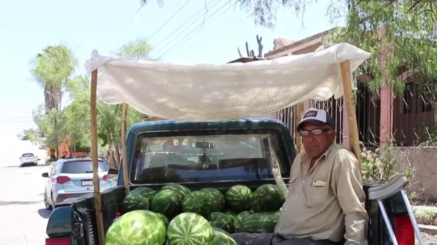 Creadora de contenido ayuda a vendedor de sandías en Chihuahua
