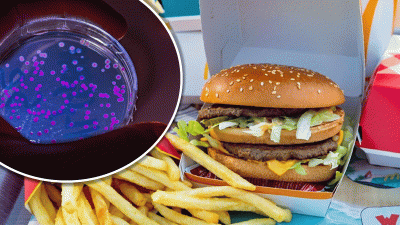 ¿Sigue usando McDonald’s las cebollas vinculadas al mortal brote de E. coli?