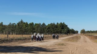 Foto genérica de niños de la comunidad de menonitas que van a la escuela por caminos rurales.