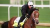 ¿Cuándo es el Kentucky Derby? Todo lo que debes saber de la emocionante carrera de caballos