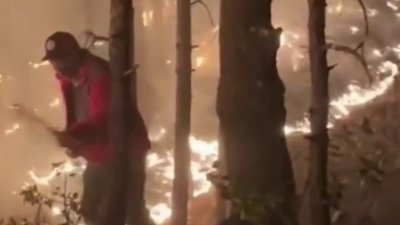 Incendios forestales ponen en peligro la sierra de Chihuahua