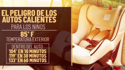 Peligro mortal por calor en autos a altas temperaturas