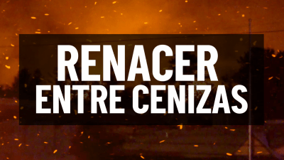 Renacer entre las cenizas: Ruidoso