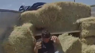 Encuentran a migrantes mexicanos en pacas de heno