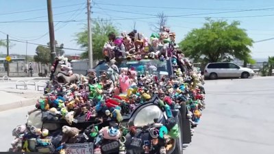 Un chofer llenó por completo su auto de peluches