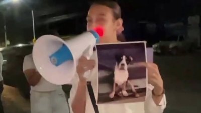 Se manifiestan por crueldad animal en Chihuahua