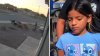 Sacrificarán a perros que atacaron a niña en Socorro