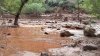 Buscan a más de 20 personas y evacúan a decenas tras inundación en el Gran Cañón